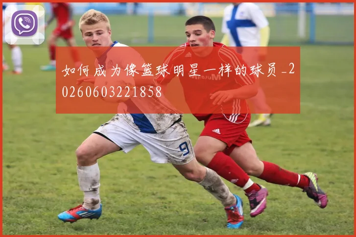 篮球明星的社交媒体影响力分析