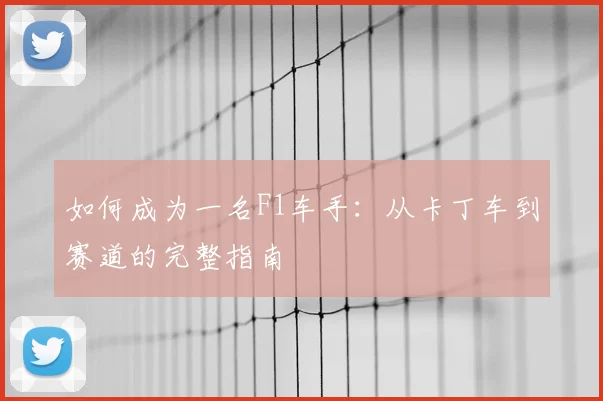 篮球明星的球鞋文化：签名鞋背后的故事与市场