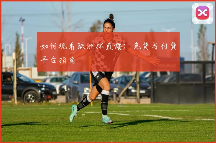 如何观看欧洲杯直播：免费与付费平台指南