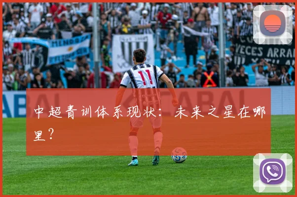中超青训体系现状：未来之星在哪里？